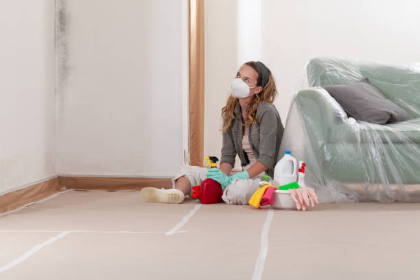 Reliable Mold Cleanup contractor in Herndon, VA by Cheap Mold Removal